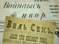 Виль синь.jpg